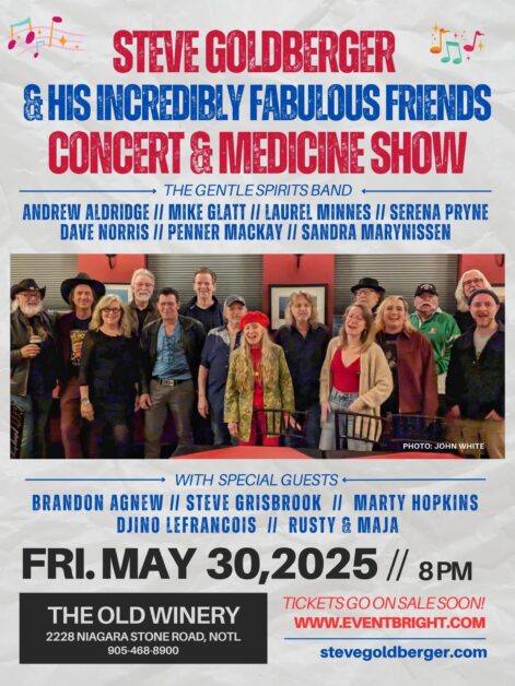 Steve Goldberger and his Incredibly Fabulous Friends Concert and Medicine Show Poster