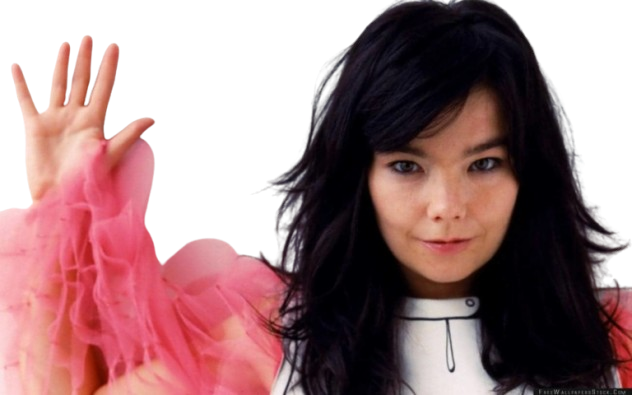 Björk's influence on music