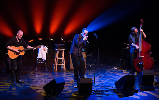 Carlos del Junco and the Blues Mongrels live on stage
